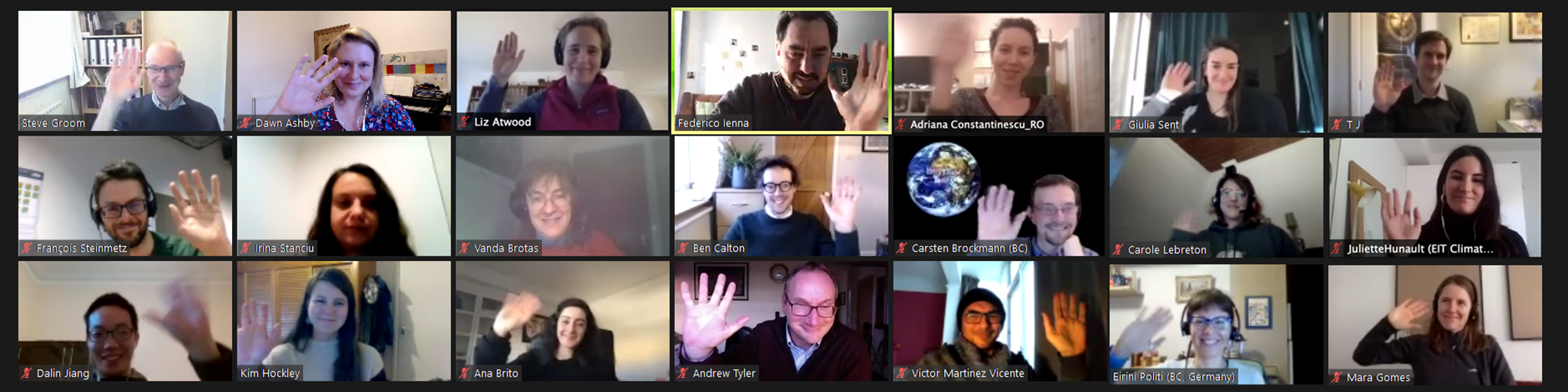 Screenshot of online meeting