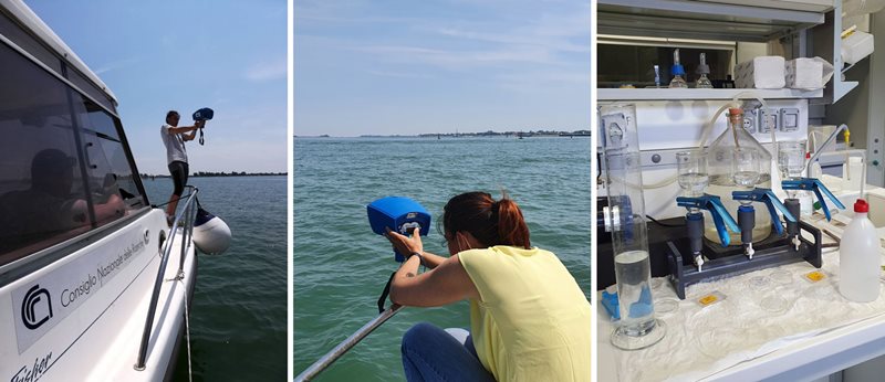 Sampling and laboratory analysis in the Venice lagoon